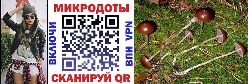 кракен как войти  Змеиногорск  Псилоцибиновые грибы мицелий 